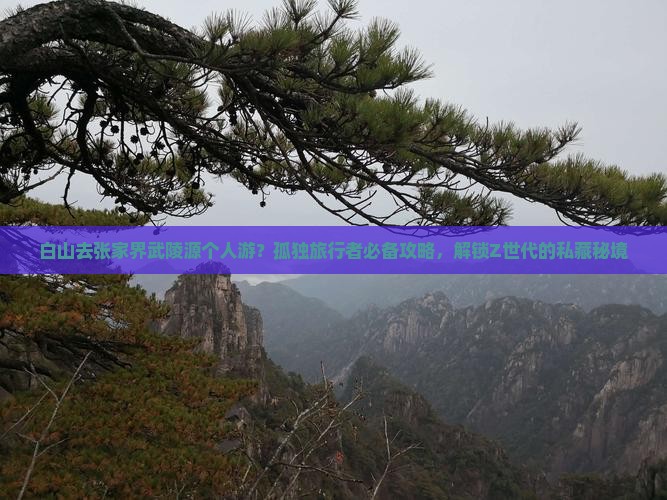 白山去张家界武陵源个人游？孤独旅行者必备攻略，解锁Z世代的私藏秘境