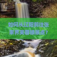 如何从辽阳前往张家界芙蓉镇景点？路线和门票信息有哪些？