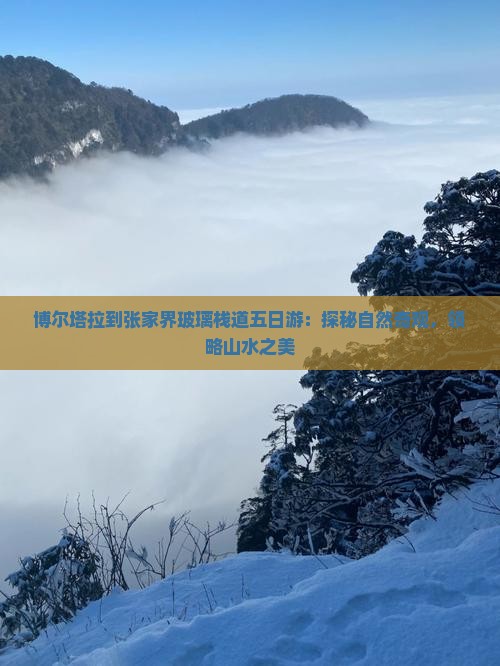博尔塔拉到张家界玻璃栈道五日游：探秘自然奇观，领略山水之美