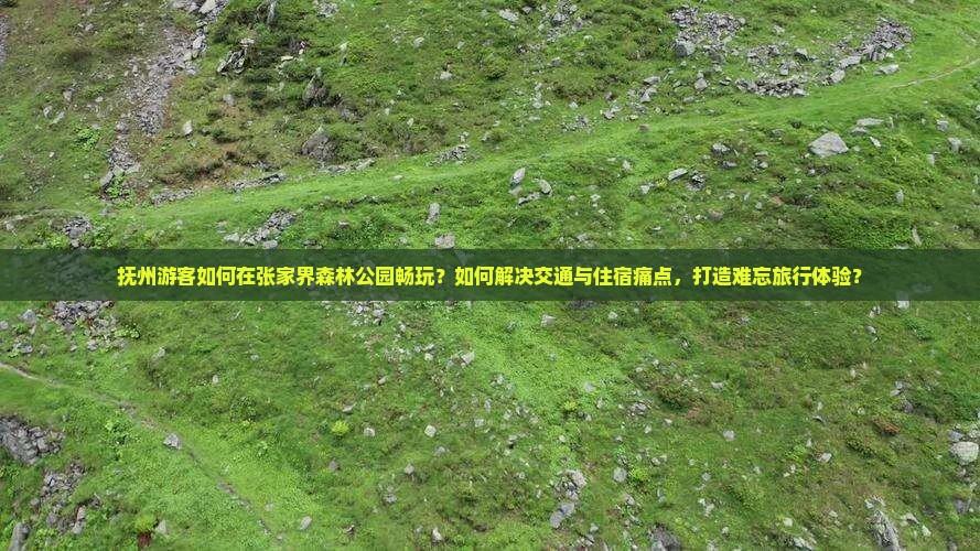 抚州游客如何在张家界森林公园畅玩？如何解决交通与住宿痛点，打造难忘旅行体验？