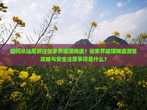 如何从汕尾前往张家界玻璃栈道？张家界玻璃栈道游览攻略与安全注意事项是什么？