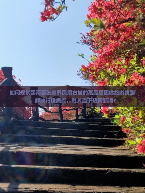 如何规划黑河至张家界凤凰古城的高品质团体旅游线路，解决行程痛点，融入当下热词新词？