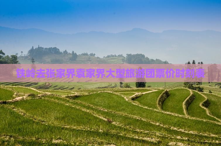 铁岭去张家界袁家界大型旅游团票价时刻表