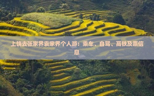 上饶去张家界袁家界个人游：乘车、自驾、高铁及票信息
