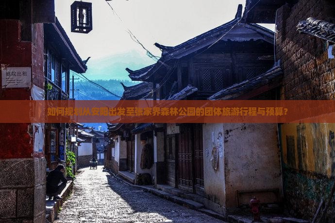 如何规划从安阳出发至张家界森林公园的团体旅游行程与预算？