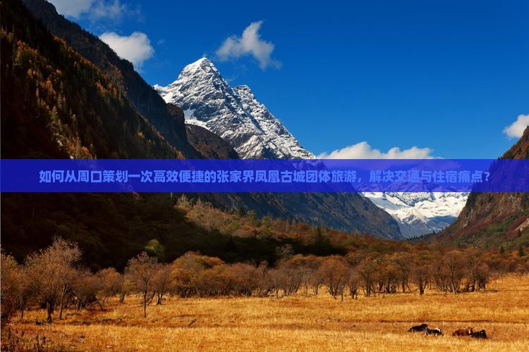 如何从周口策划一次高效便捷的张家界凤凰古城团体旅游，解决交通与住宿痛点？