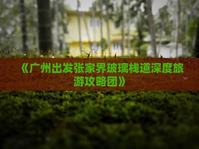 《广州出发张家界玻璃栈道深度旅游攻略团》