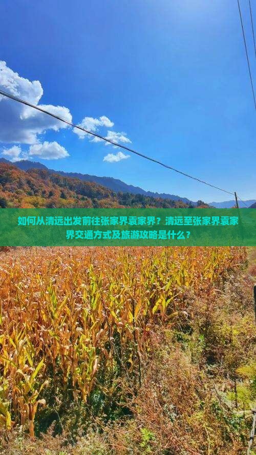 如何从清远出发前往张家界袁家界？清远至张家界袁家界交通方式及旅游攻略是什么？