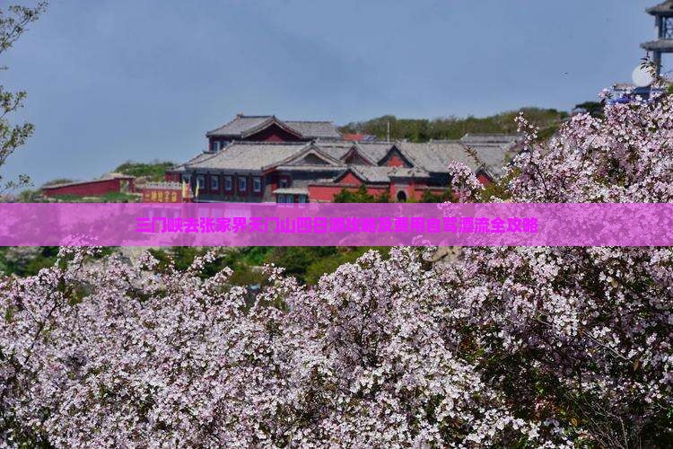 三门峡去张家界天门山四日游攻略及费用自驾漂流全攻略