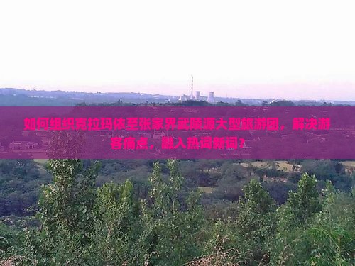 如何组织克拉玛依至张家界武陵源大型旅游团，解决游客痛点，融入热词新词？