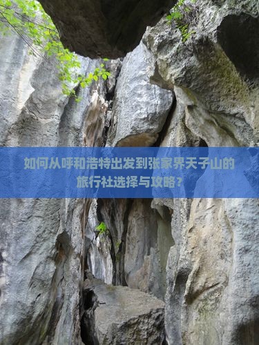 如何从呼和浩特出发到张家界天子山的旅行社选择与攻略？