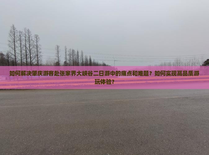如何解决肇庆游客赴张家界大峡谷二日游中的痛点和难题？如何实现高品质游玩体验？