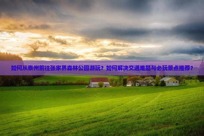如何从泰州前往张家界森林公园游玩？如何解决交通难题与必玩景点推荐？