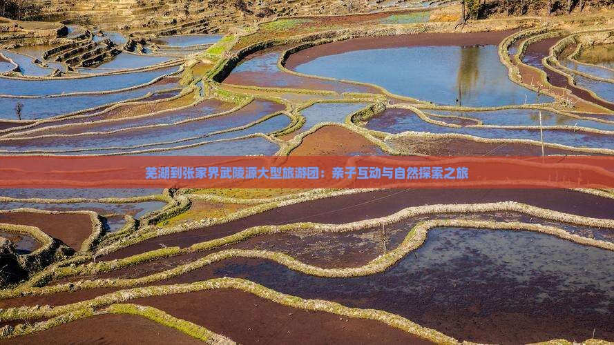 芜湖到张家界武陵源大型旅游团：亲子互动与自然探索之旅