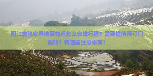 阳江去张家界玻璃栈道怎么安排行程？需要提前预订门票吗？有哪些注意事项？