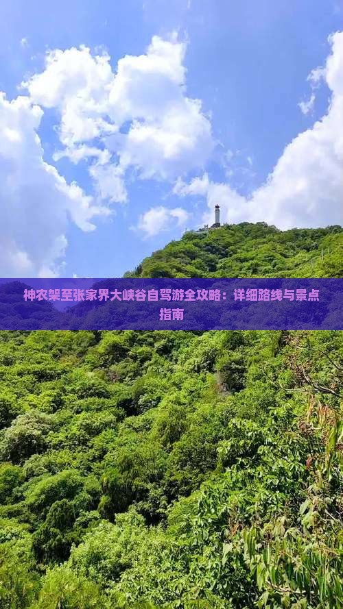 神农架至张家界大峡谷自驾游全攻略：详细路线与景点指南