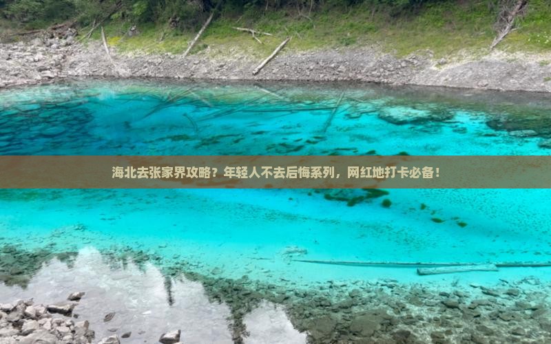 海北去张家界攻略？年轻人不去后悔系列，网红地打卡必备！