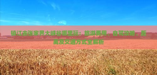 镇江去张家界大峡谷哪里玩：旅游费用、自驾攻略、距离及交通方式全解析