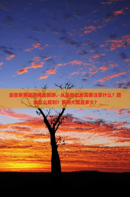 去张家界玻璃栈道旅游，从阜新出发需要注意什么？路线怎么规划？费用大概是多少？