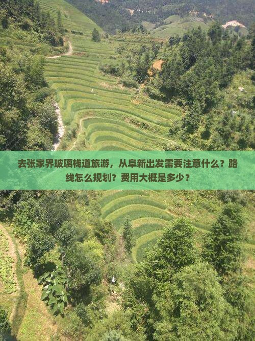 去张家界玻璃栈道旅游，从阜新出发需要注意什么？路线怎么规划？费用大概是多少？