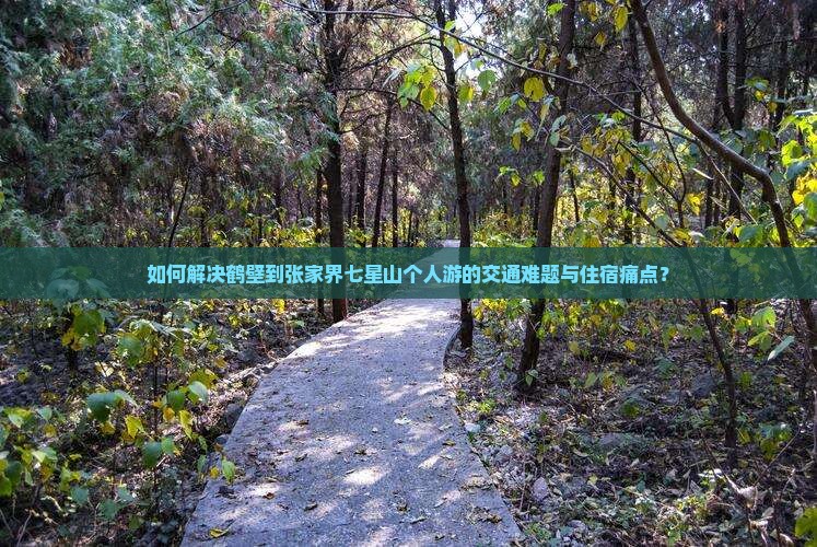 如何解决鹤壁到张家界七星山个人游的交通难题与住宿痛点？