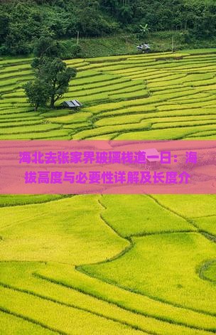 海北去张家界玻璃栈道一日：海拔高度与必要性详解及长度介绍