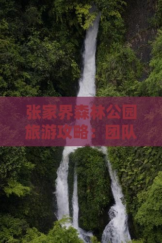 张家界森林公园旅游攻略：团队出行必看指南