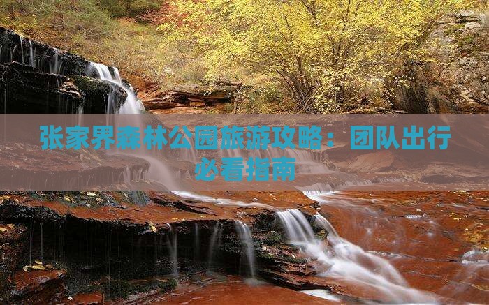 张家界森林公园旅游攻略：团队出行必看指南
