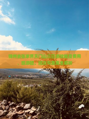 锦州去张家界天门山三日游攻略及费用、旅游团、班次与距离全解析