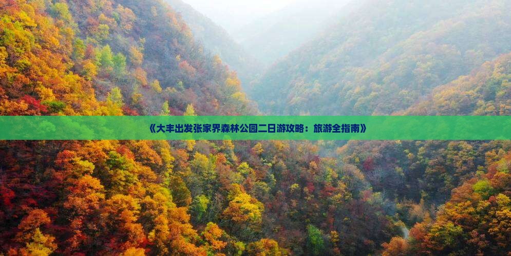 《大丰出发张家界森林公园二日游攻略：旅游全指南》