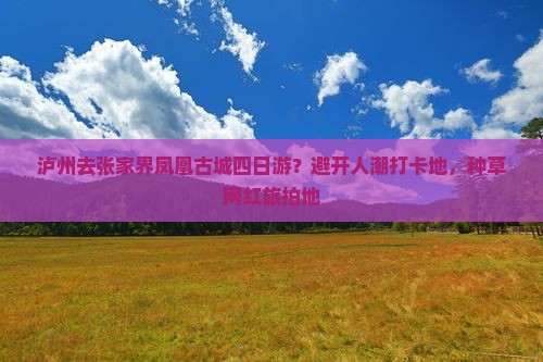 泸州去张家界凤凰古城四日游？避开人潮打卡地，种草网红旅拍地