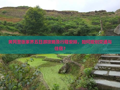 黄冈至张家界五日游攻略及行程安排，如何规划交通与住宿？