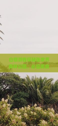 白银游客探秘张家界森林公园，必尝美食与小吃的旅游攻略