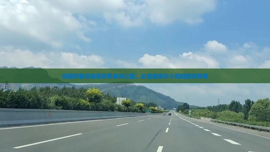 白银游客探秘张家界森林公园，必尝美食与小吃的旅游攻略