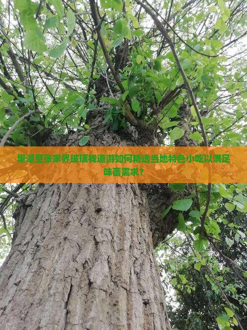 巢湖至张家界玻璃栈道游如何精选当地特色小吃以满足味蕾需求？