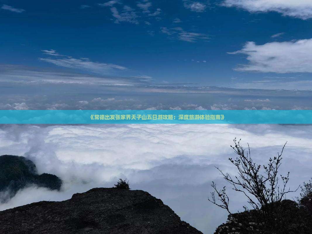 《常德出发张家界天子山五日游攻略：深度旅游体验指南》