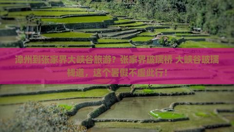 漳州到张家界大峡谷旅游？张家界玻璃桥+大峡谷玻璃栈道，这个暑假不虚此行！