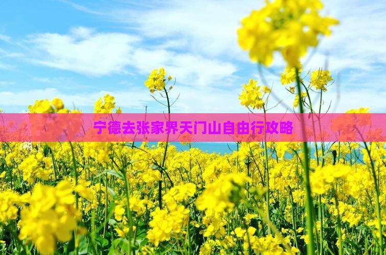 宁德去张家界天门山自由行攻略