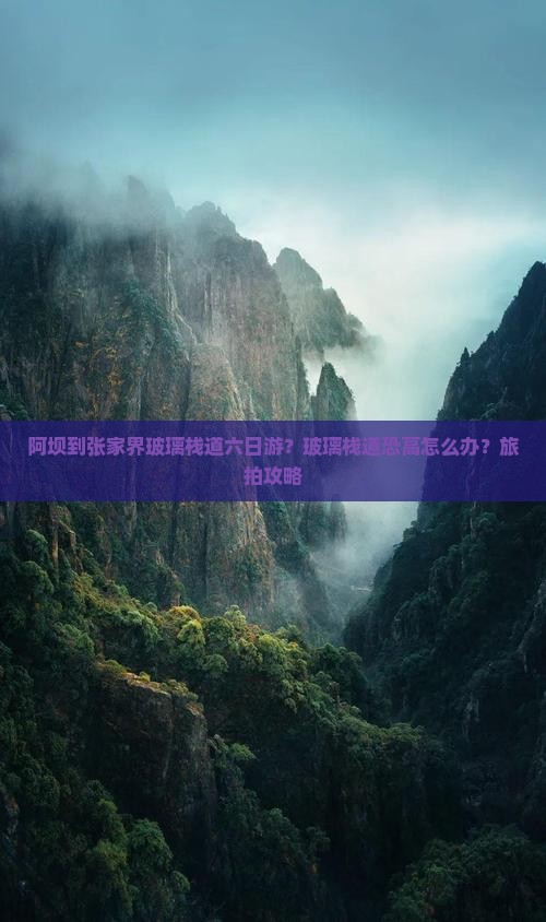 阿坝到张家界玻璃栈道六日游？玻璃栈道恐高怎么办？旅拍攻略