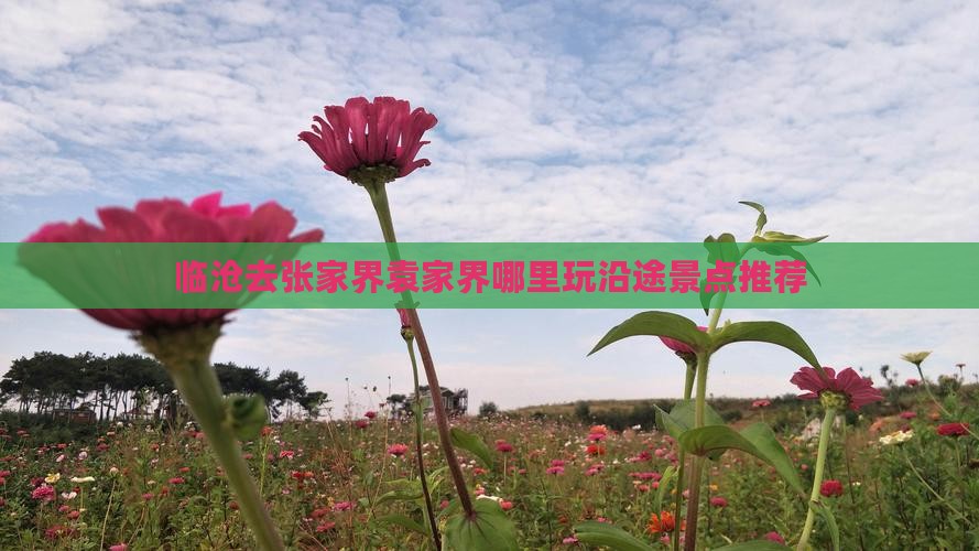 临沧去张家界袁家界哪里玩沿途景点推荐