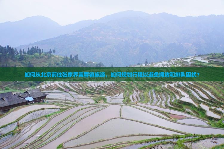 如何从北京前往张家界芙蓉镇旅游，如何规划行程以避免拥堵和排队困扰？