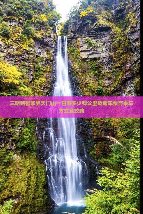 三明到张家界天门山一日游多少钱公里及动车票与乘车方式全攻略
