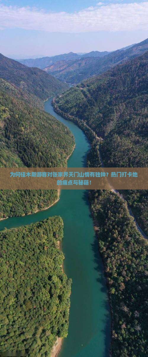 为何佳木斯游客对张家界天门山情有独钟？热门打卡地的痛点与秘籍！