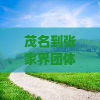茂名到张家界团体旅游推荐