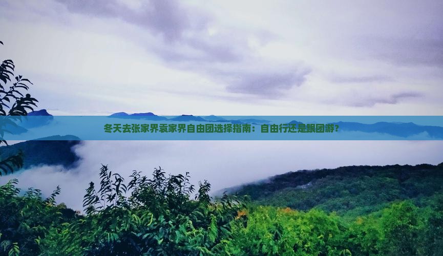 冬天去张家界袁家界自由团选择指南：自由行还是跟团游？