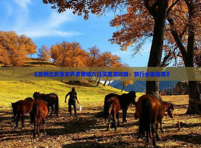 《苏州出发张家界芙蓉镇六日深度游攻略：旅行必备指南》