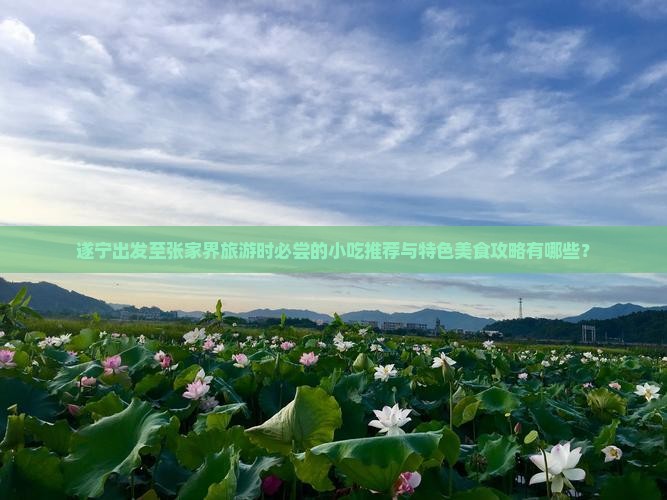 遂宁出发至张家界旅游时必尝的小吃推荐与特色美食攻略有哪些？