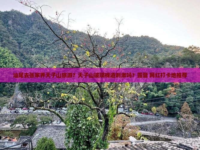 汕尾去张家界天子山旅游？天子山玻璃栈道刺激吗？露营+网红打卡地推荐