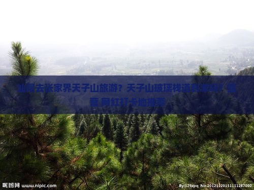 汕尾去张家界天子山旅游？天子山玻璃栈道刺激吗？露营+网红打卡地推荐