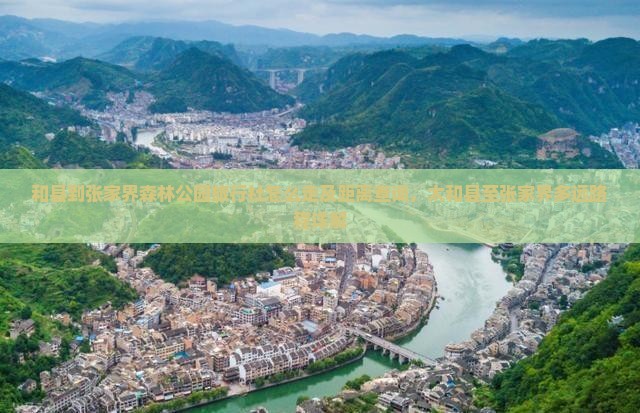 和县到张家界森林公园旅行社怎么走及距离查询，太和县至张家界多远路程详解